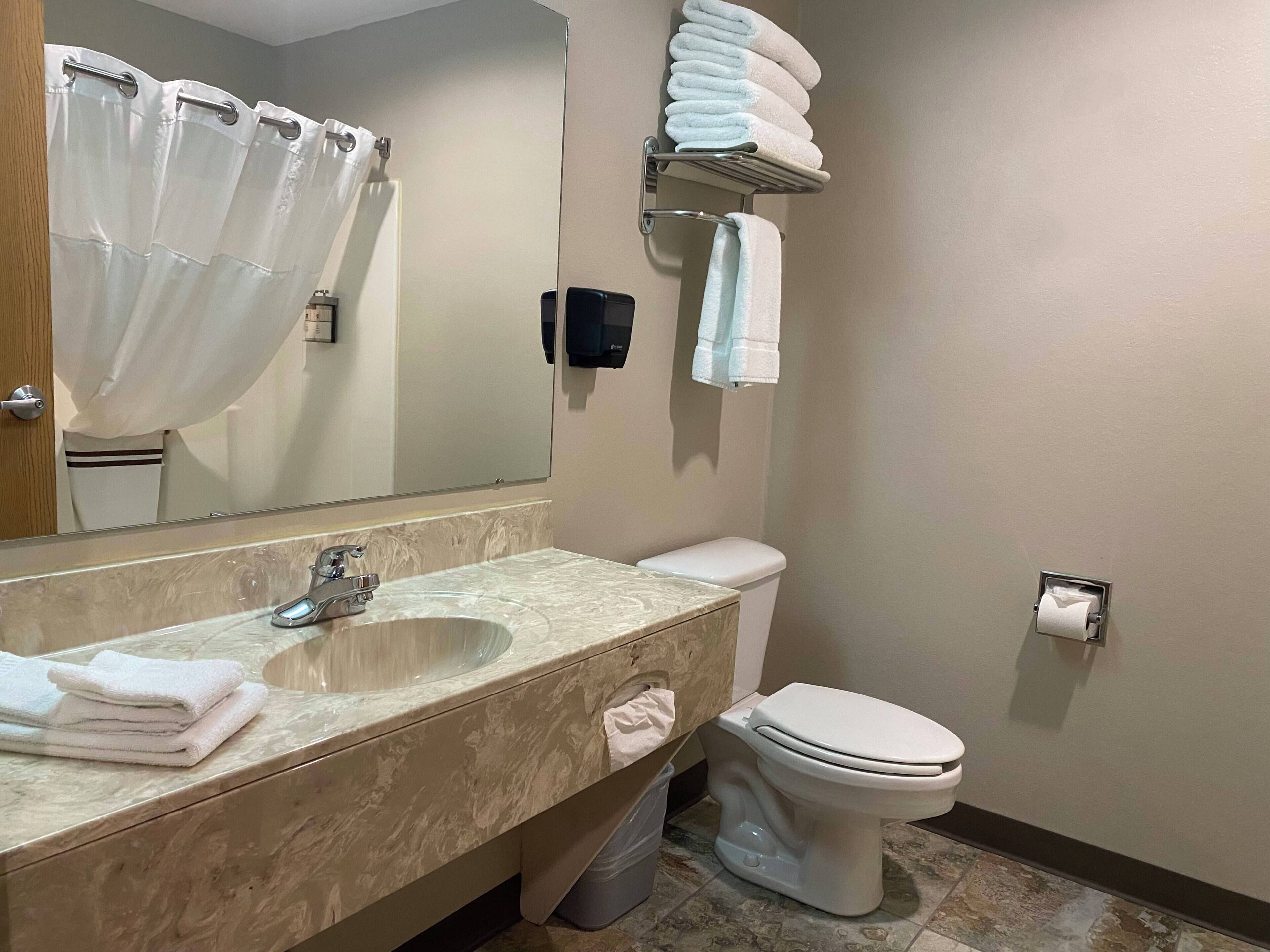A bathroom with a marble sink, a toilet, a shower curtain, and a towel rack.