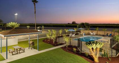 Super 8 by Wyndham Lindsay Olive Tree