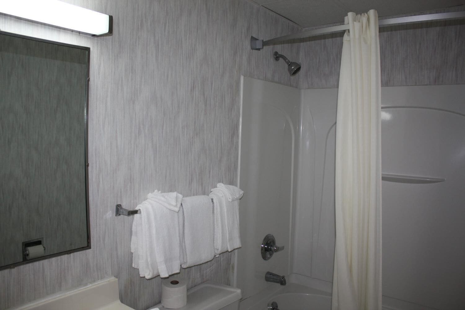 A bathroom with a shower, a toilet, and a sink.