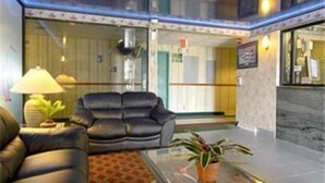 Un salon moderne avec un canapé en cuir, une table basse en verre ornée d’une plante et une lampe.