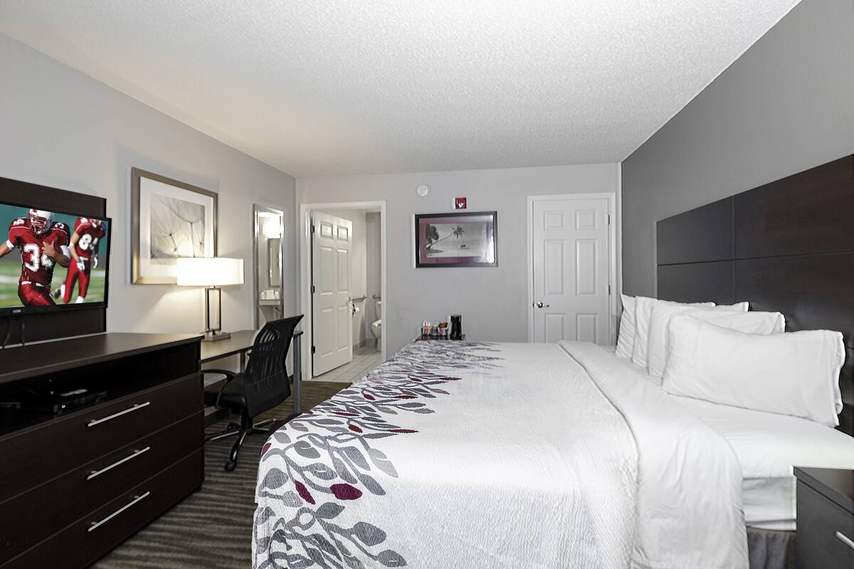 A hotel room with a large bed, a desk with a TV, a chair, and a framed picture on the wall.