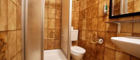 Un bagno con doccia, servizi igienici e lavabo.