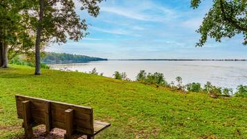A bench in a grassy area with a lake and trees in the background.