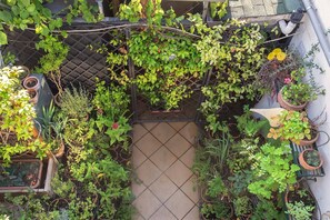 A rooftop garden with various potted plants and a metal fence.