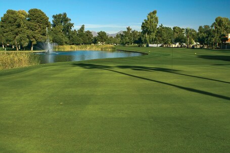 Orange Tree Resort - Image 17