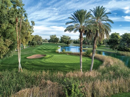 Orange Tree Resort - Image 57