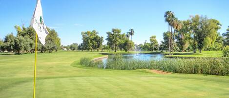 A golf course with a flag, water feature, and trees.