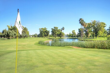 Orange Tree Resort - Image 37