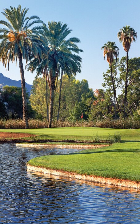 Orange Tree Resort - Image 39