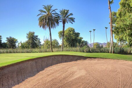 Orange Tree Resort - Image 31