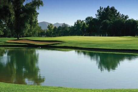 Orange Tree Resort - Image 61