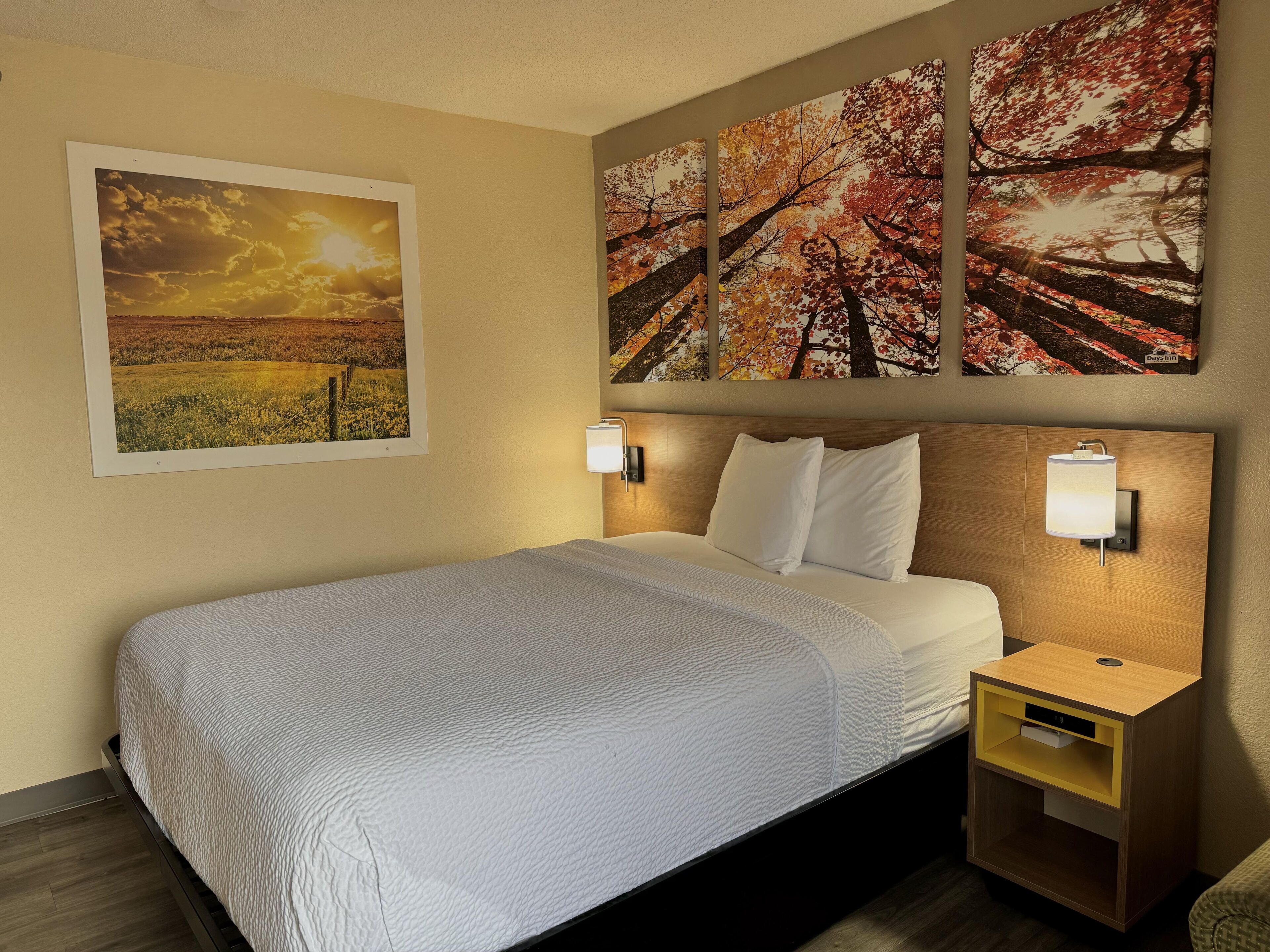 A hotel room with a bed, two bedside tables, and wall art depicting nature scenes.