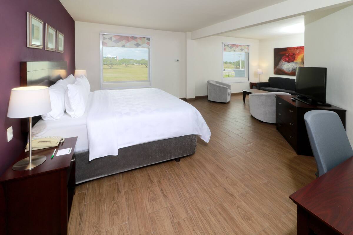 Habitación de hotel con cama, escritorio, silla, televisor y ventanas que dan al exterior.