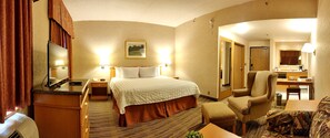 Studio, 1 King Bed with Sofa bed