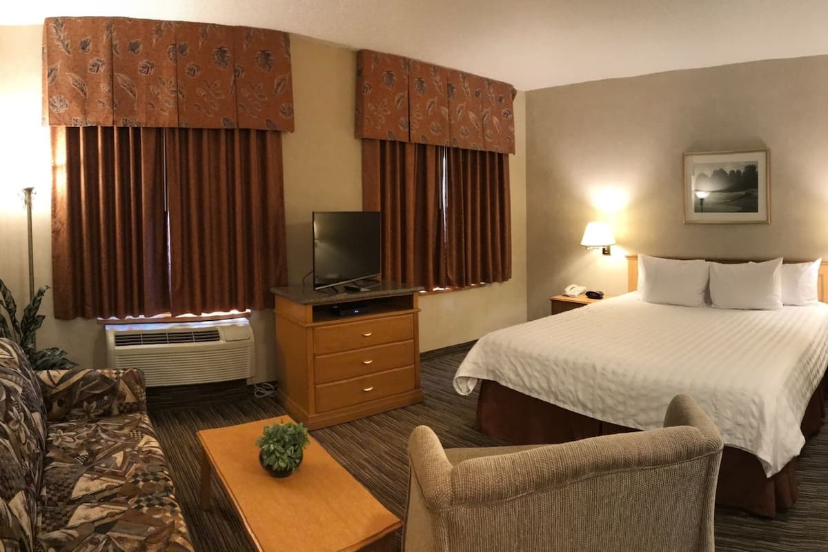 A hotel room with a bed, a desk with a chair, a TV, a sofa, a bathroom with a shower, and a microwave.