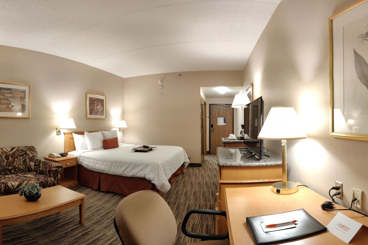 A hotel room with a bed, a sofa, a desk, a chair, a lamp, a mirror, and a framed plant.
