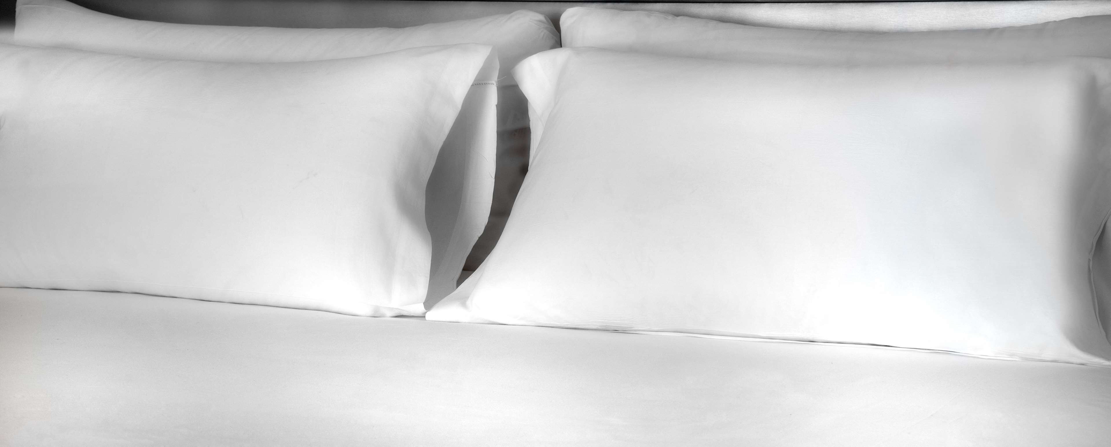 premium bedding, down duvets, minibar, in-room safe