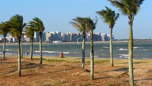 A beach with palm trees and a city skyline in the background. - Comfort Suites Vitoria (Vitoria)