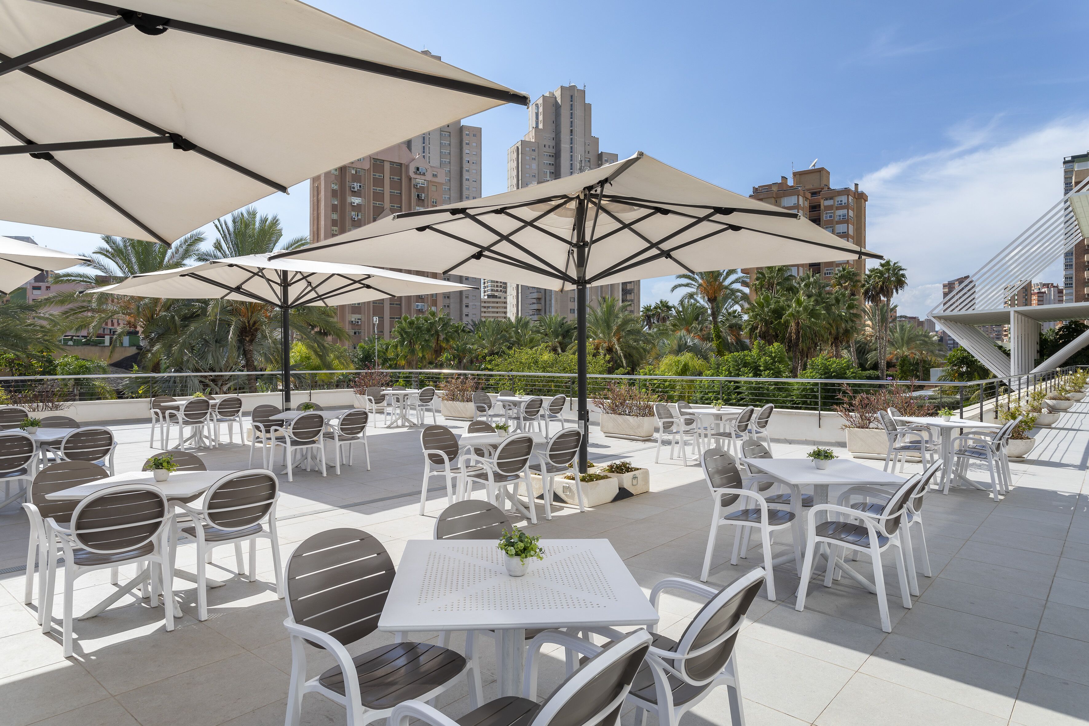 international cuisine