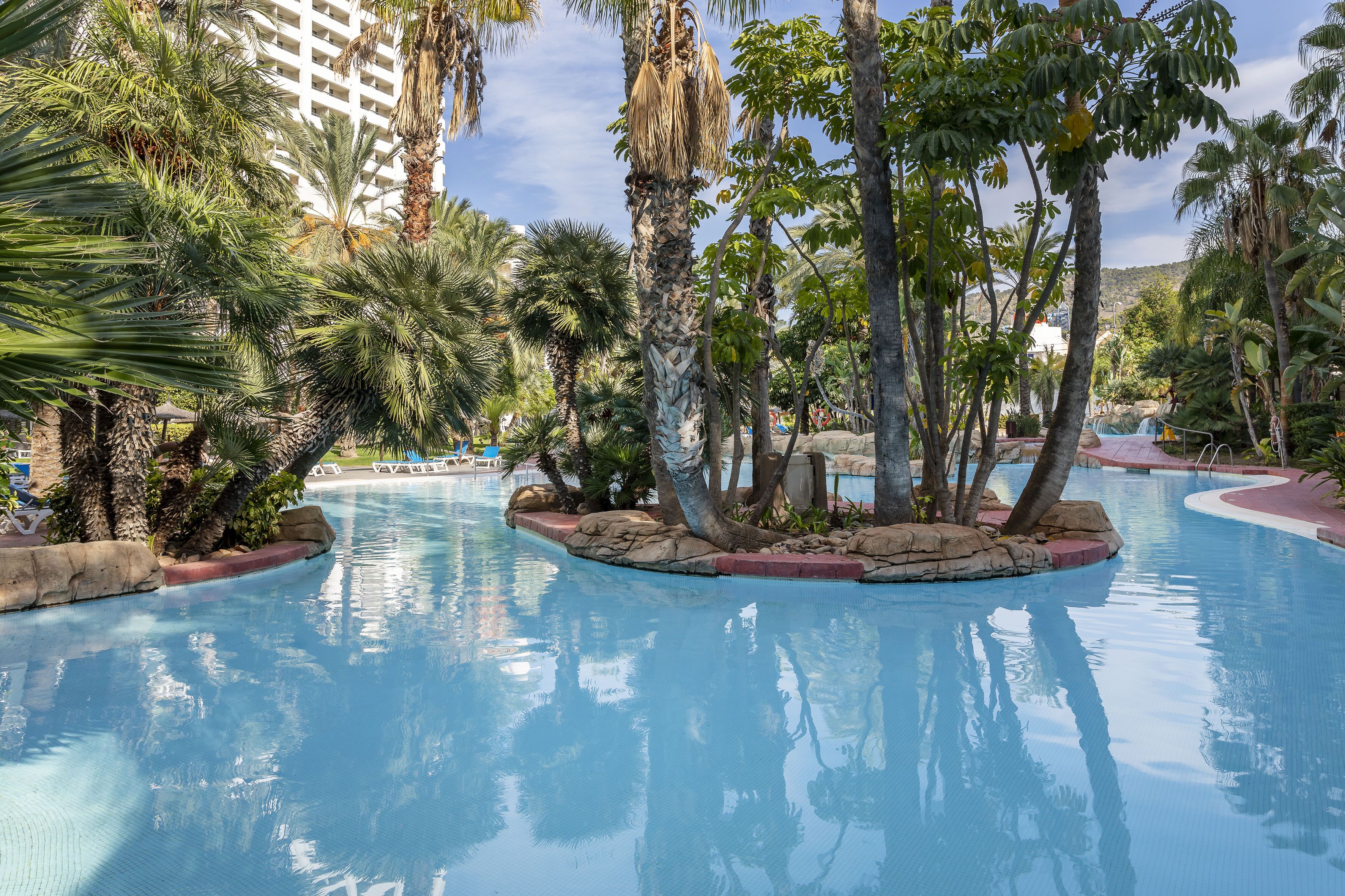 A pool area with palm trees and a clear blue sky.