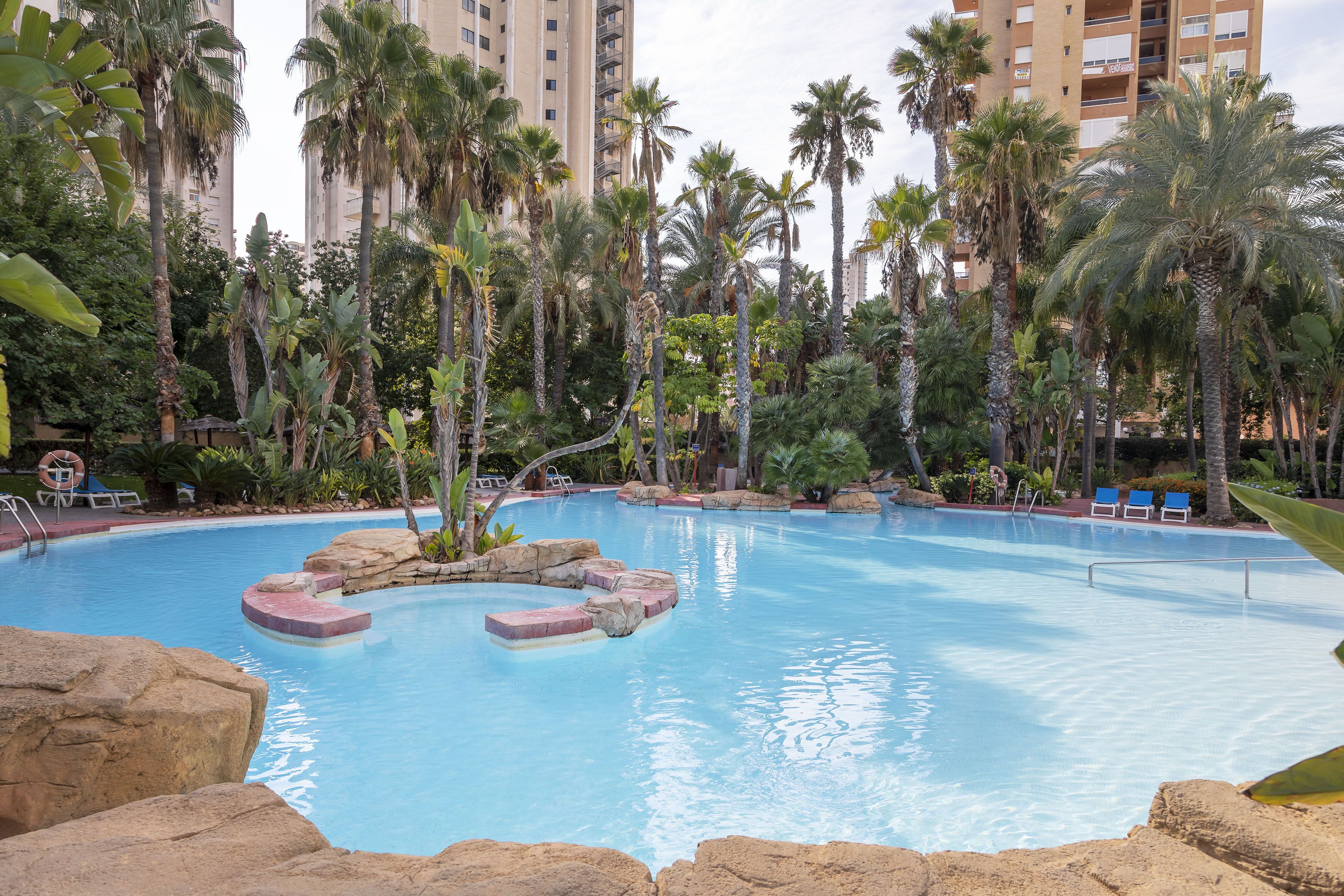 A swimming pool with rock steps and palm trees.