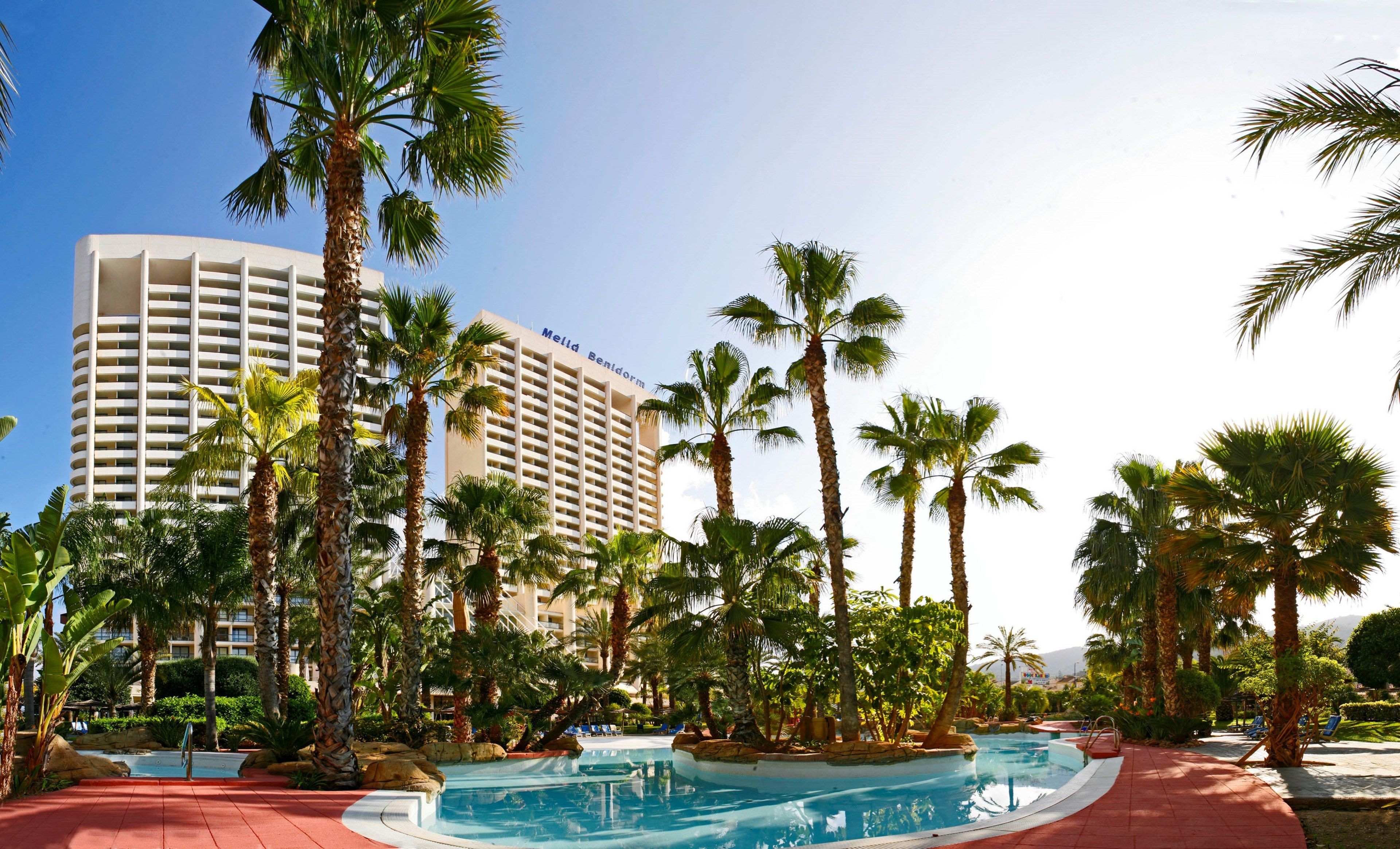 A hotel with a pool area surrounded by palm trees and a large building in the background.