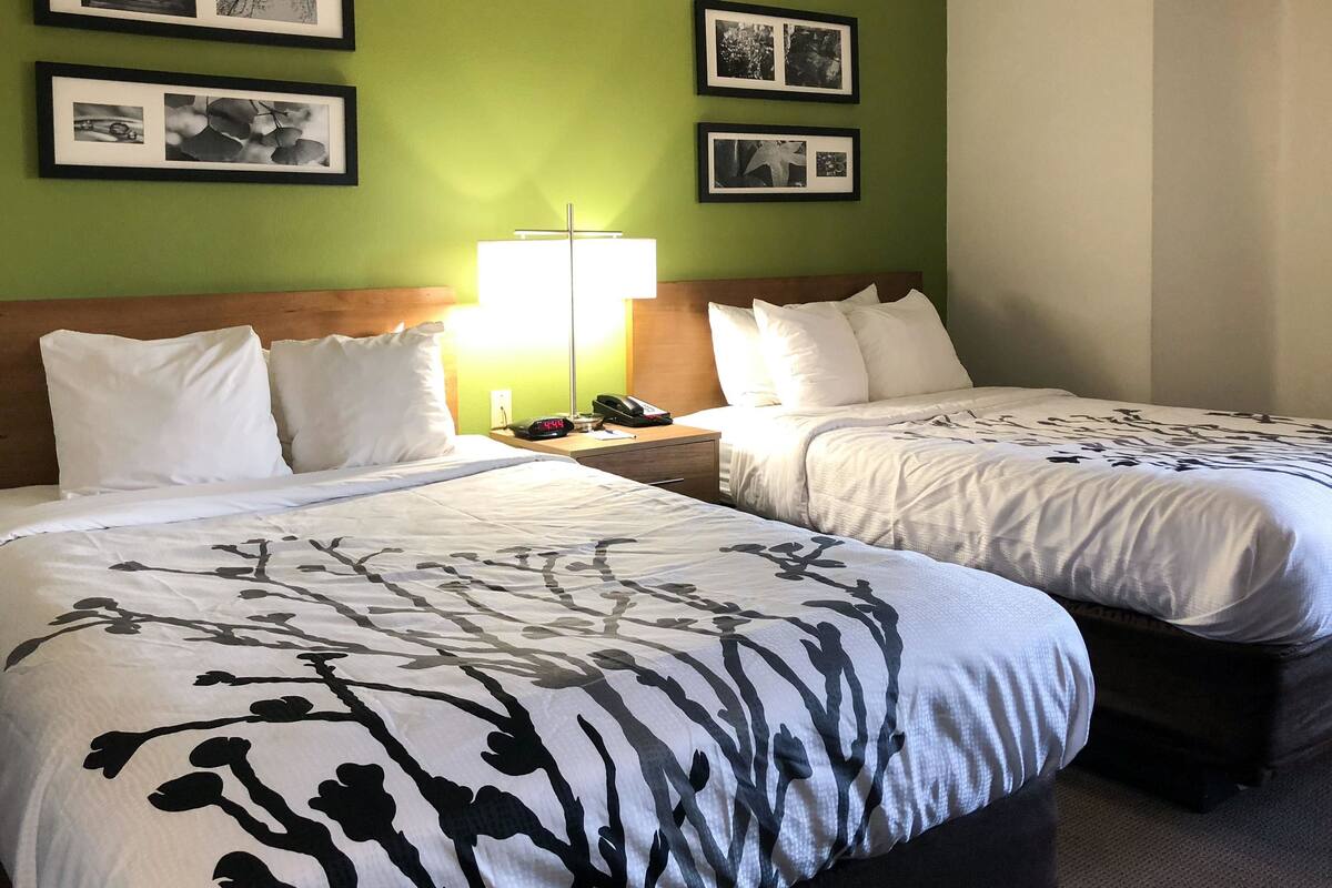 A hotel room with two beds, a nightstand with a lamp, and framed pictures on the wall.