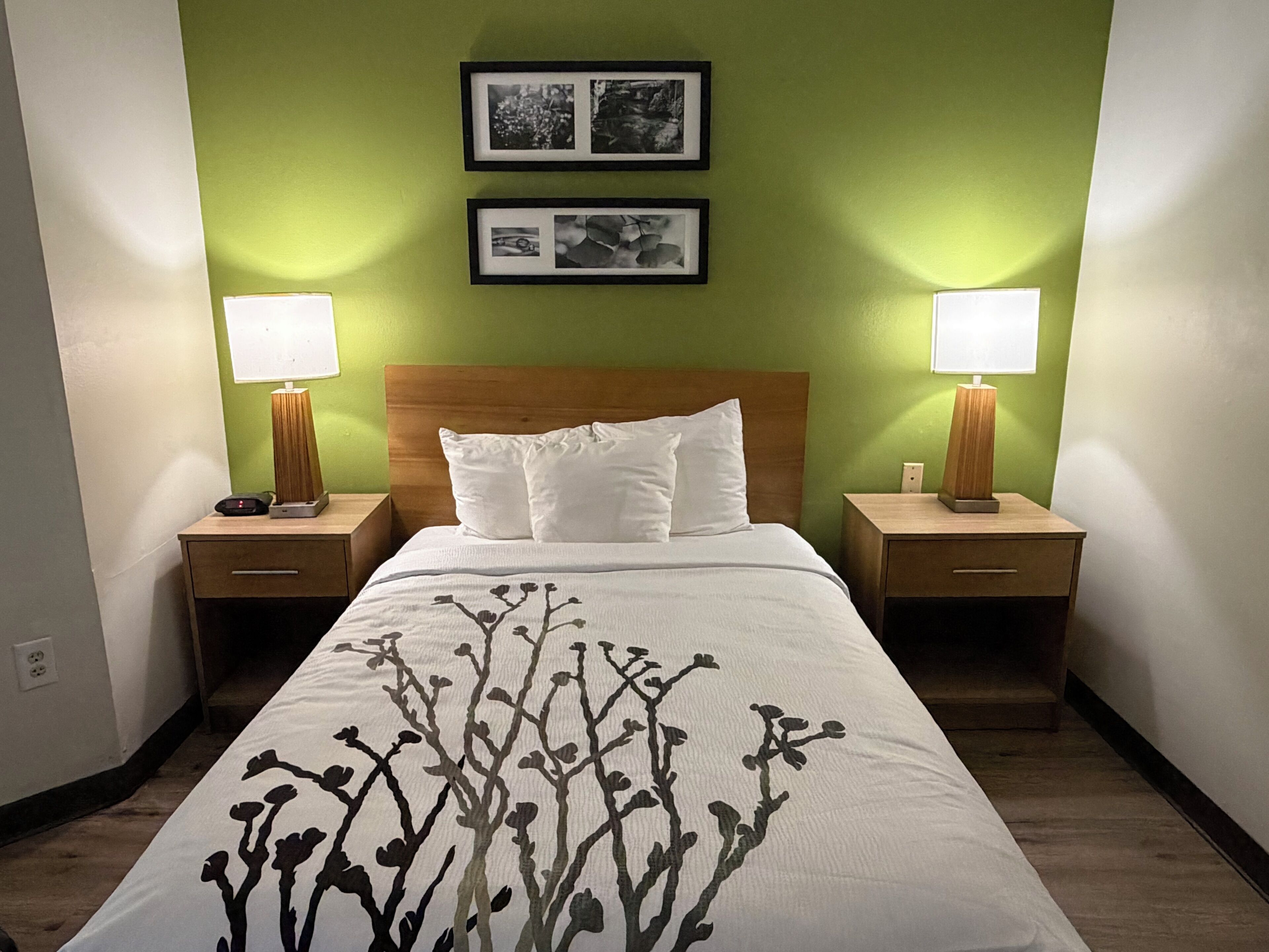Room, 1 Double Bed, Non Smoking | Desk, blackout drapes, iron/ironing board, free WiFi