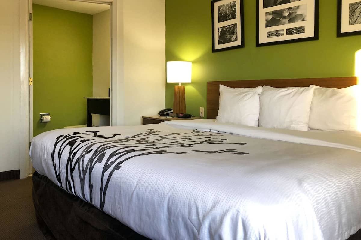 A hotel room with a bed, a nightstand, a lamp, and framed pictures on the wall.