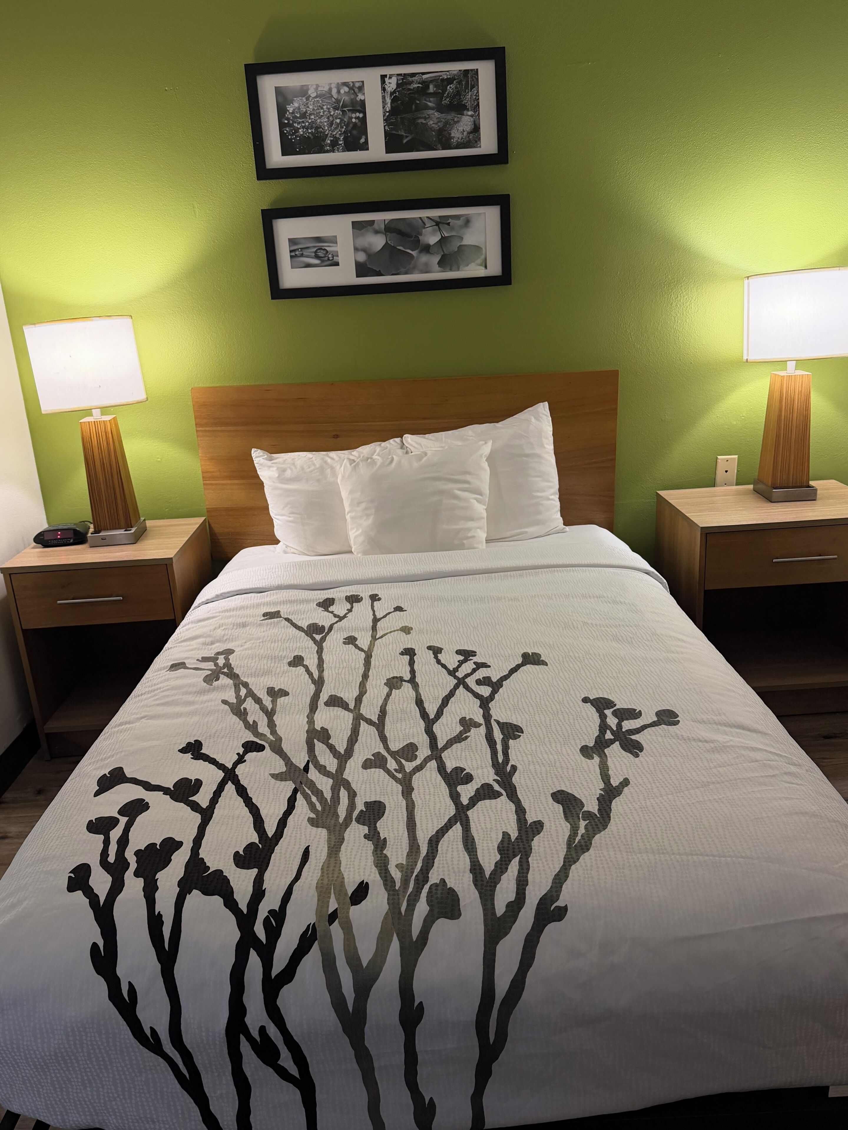 A neatly made bed with white linens and a tree branch design, flanked by two bedside tables with lamps, against a green wall with two framed pictures.