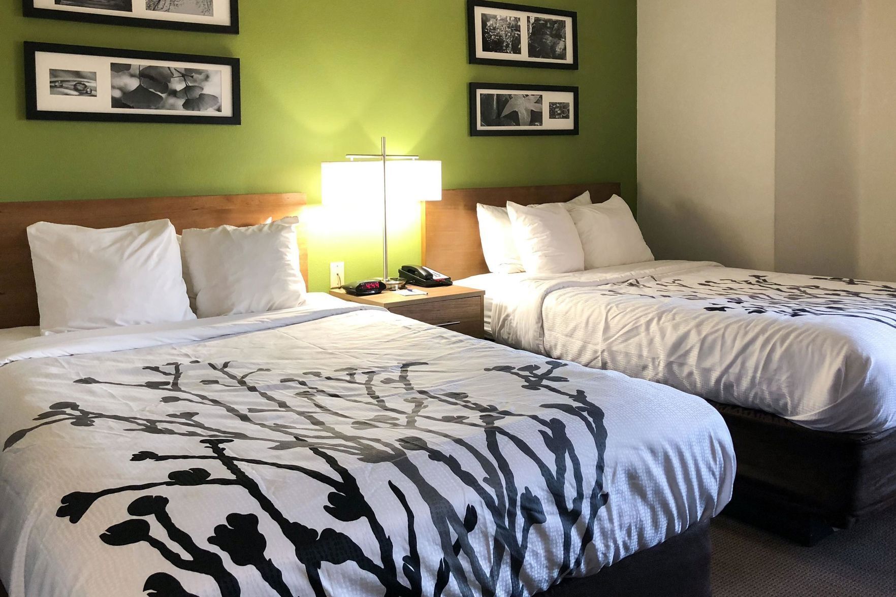 Desk, blackout drapes, iron/ironing board, free WiFi