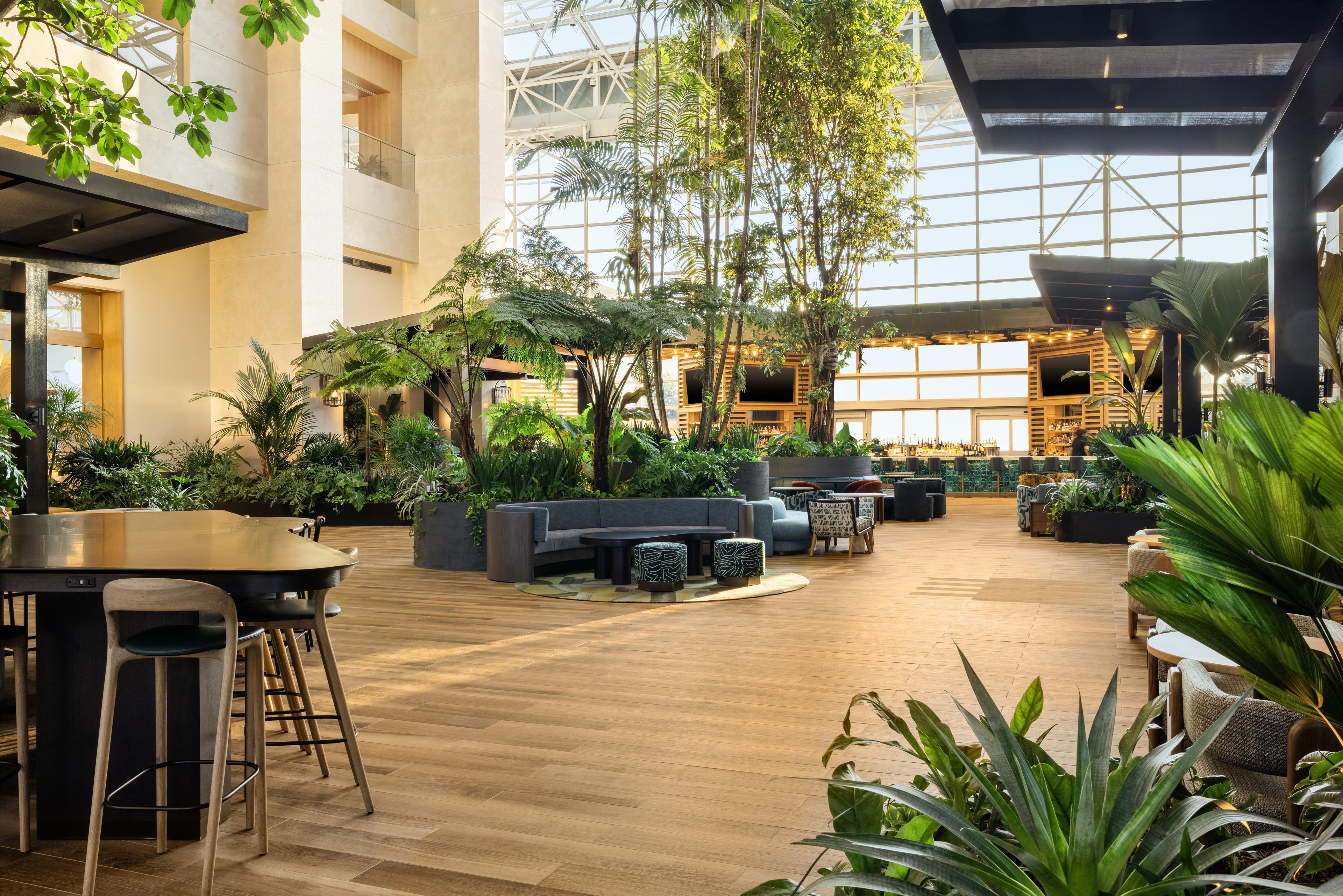 Un espace intérieur vaste et accueillant, doté d’un bar, de sièges et de plantes.