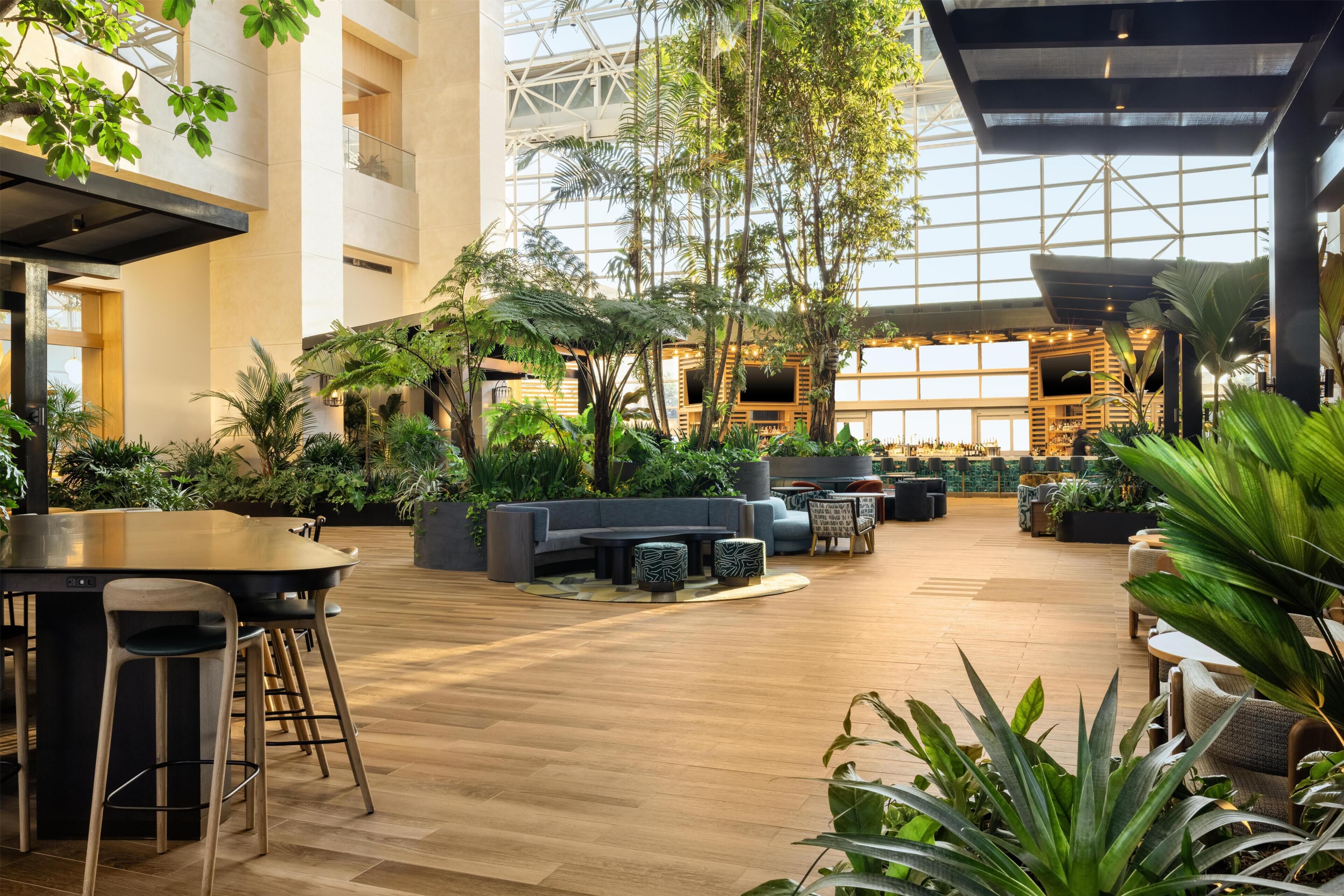 A spacious indoor area with a wooden floor, seating arrangements, and indoor plants.
