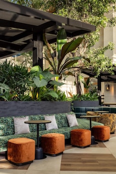 Lobby lounge, pool views, open daily at Diplomat Beach Resort Hollywood, Curio Collection by Hilton