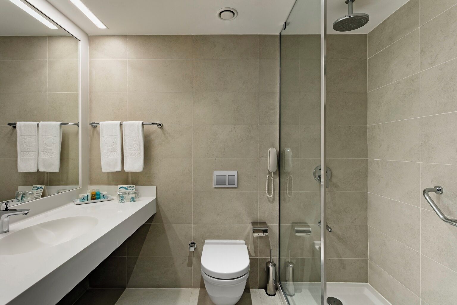A modern bathroom with a glass shower enclosure, a white sink, and a toilet.