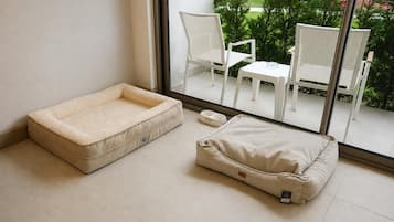 Een dierenbed en een kussen op de vloer, een witte stoel en een tafel met een kom voor een raam.