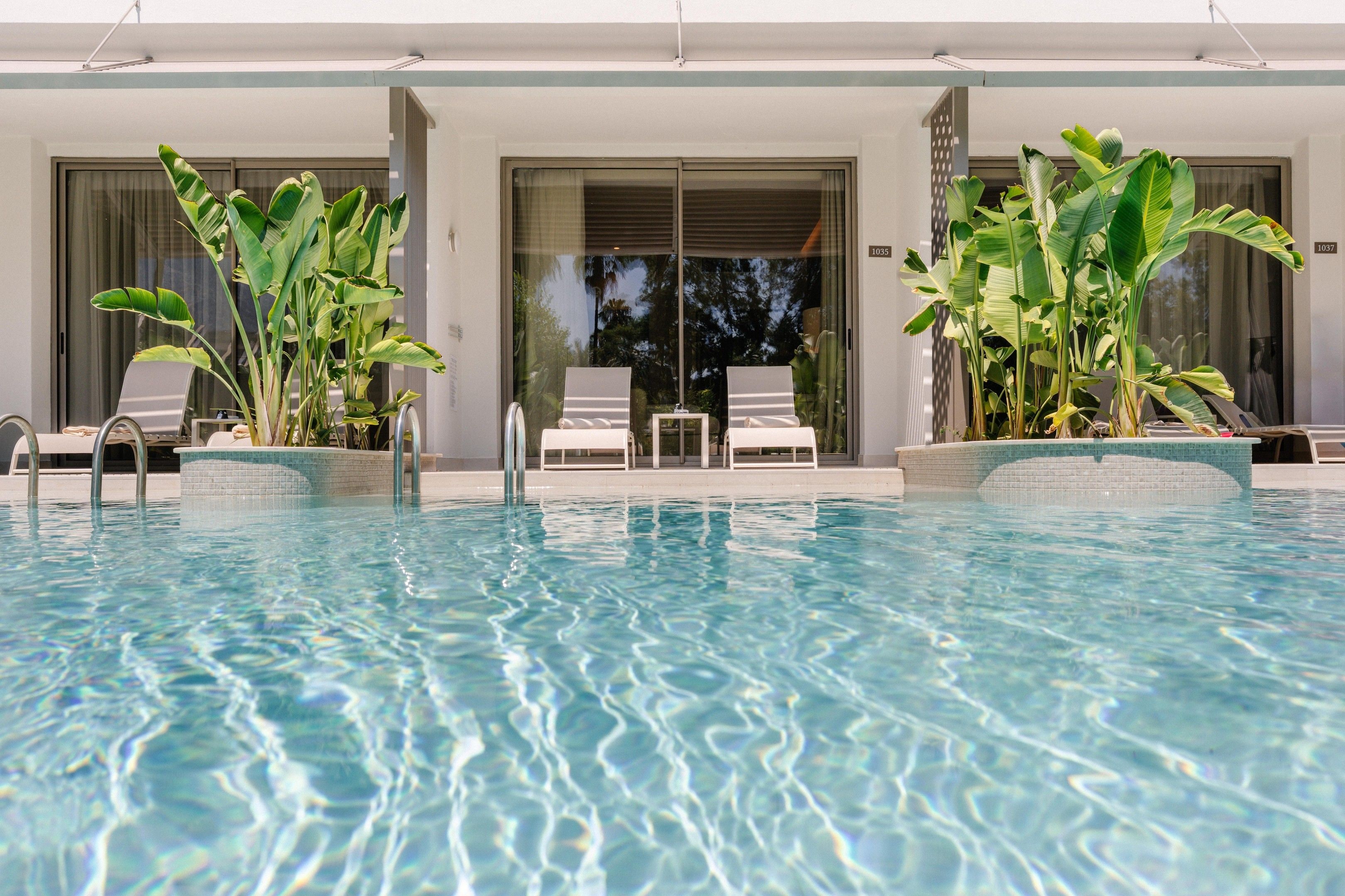 Una piscina con lettini e piante in vaso.