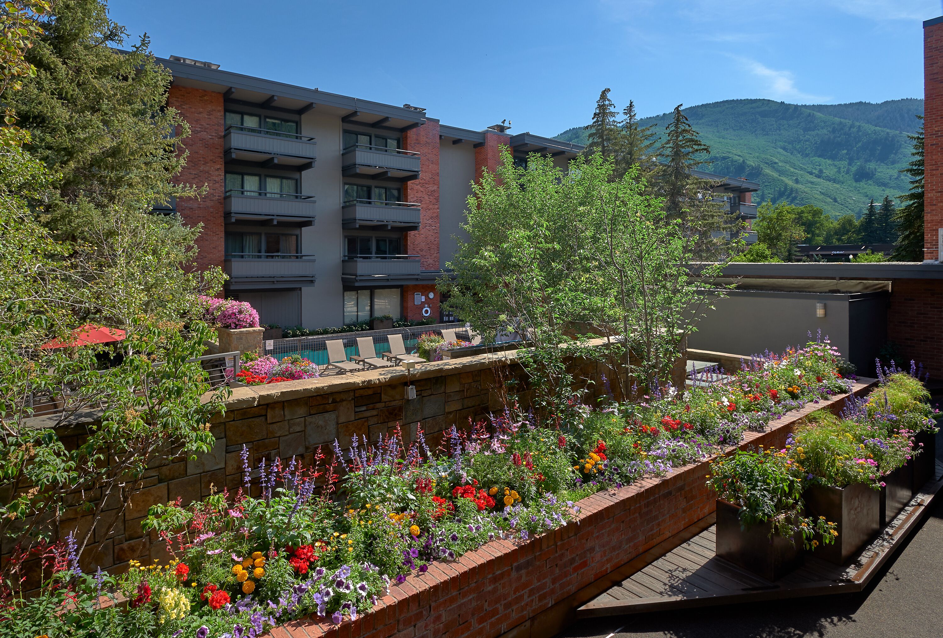 A multi-story building with balconies, a brick wall with flower planters, and a pool area.