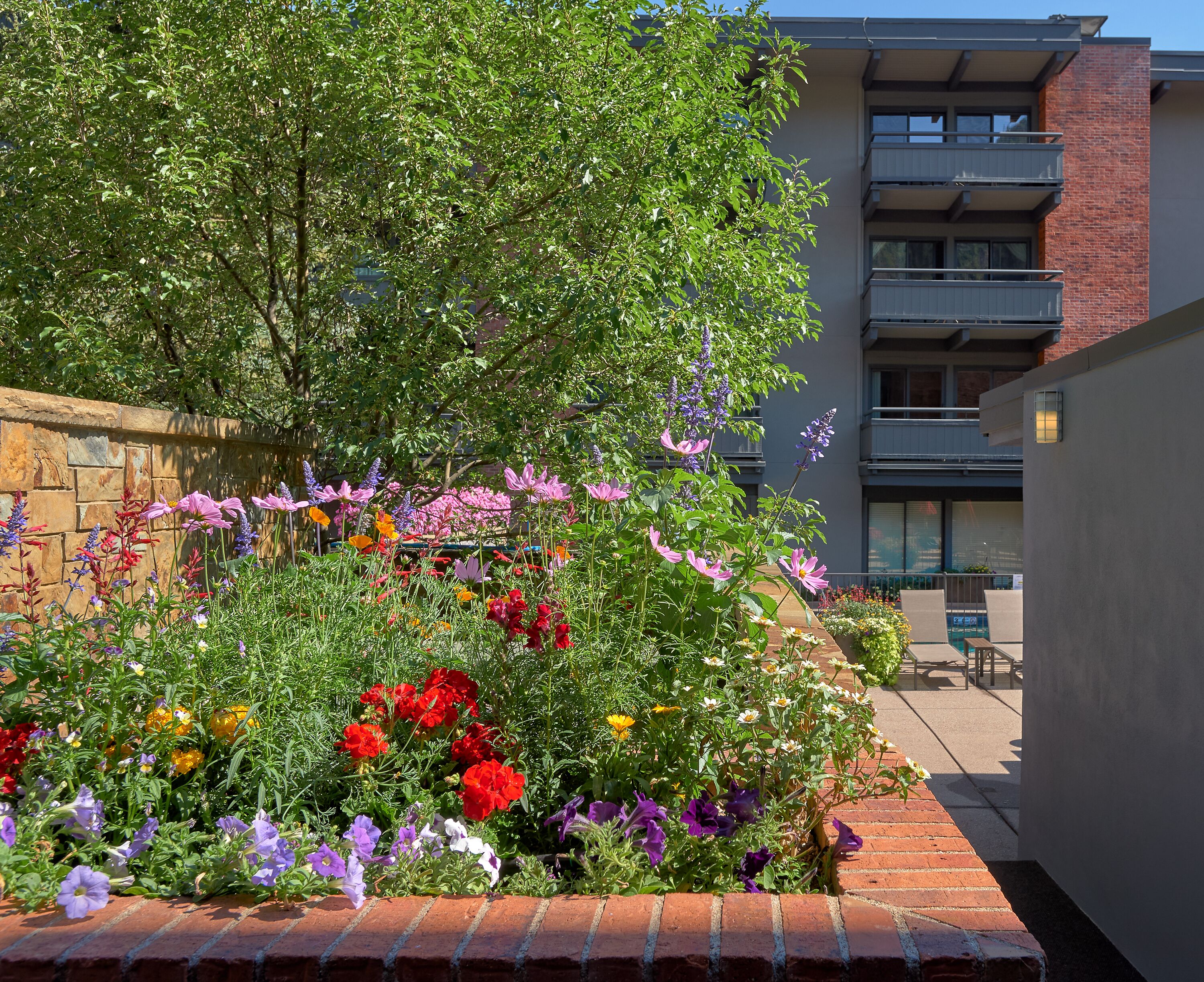 Un jardín con diversas flores y un muro de ladrillo.
