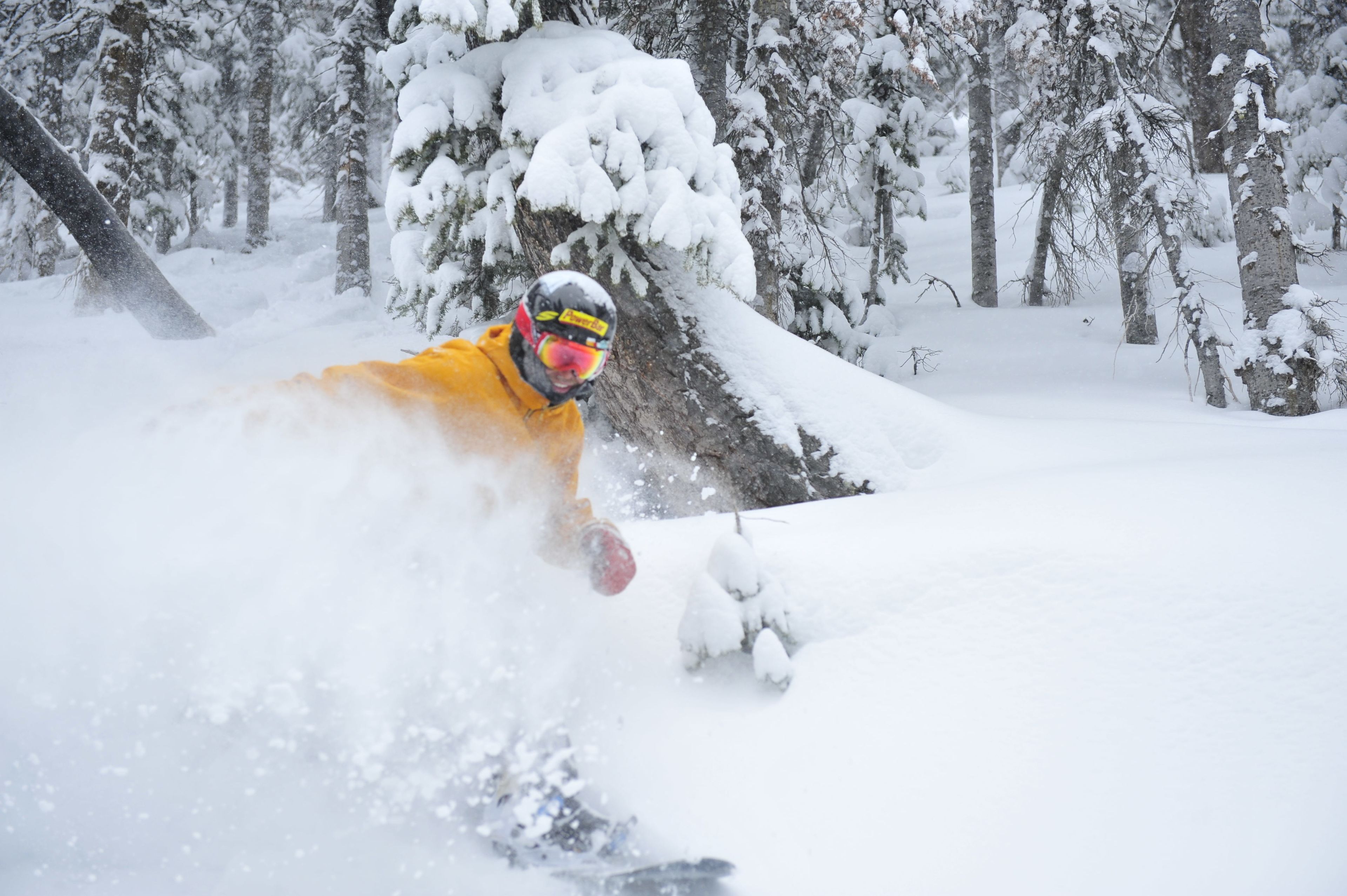 Un snowboardeur, vêtu d’une veste jaune et d’un casque, dévale une pente enneigée dans une forêt.