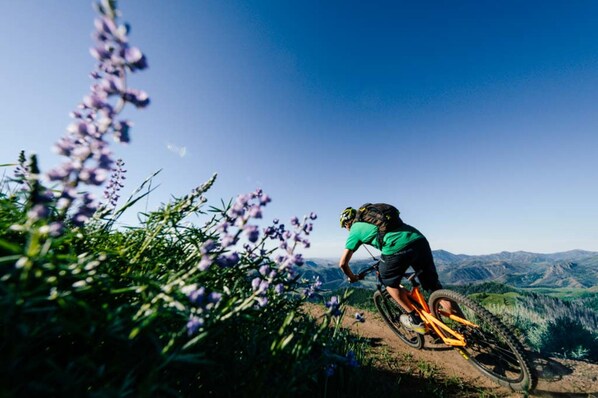 Un ciclista de montaña en un sendero con vistas despejadas del paisaje circundante.
