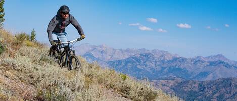 Ein Mountainbiker auf einem Trail vor einer Bergkulisse.