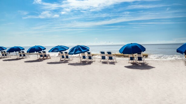 A beach with rows of blue umbrellas and beach chairs facing the ocean. - Palette Resort Myrtle Beach (Myrtle Beach)