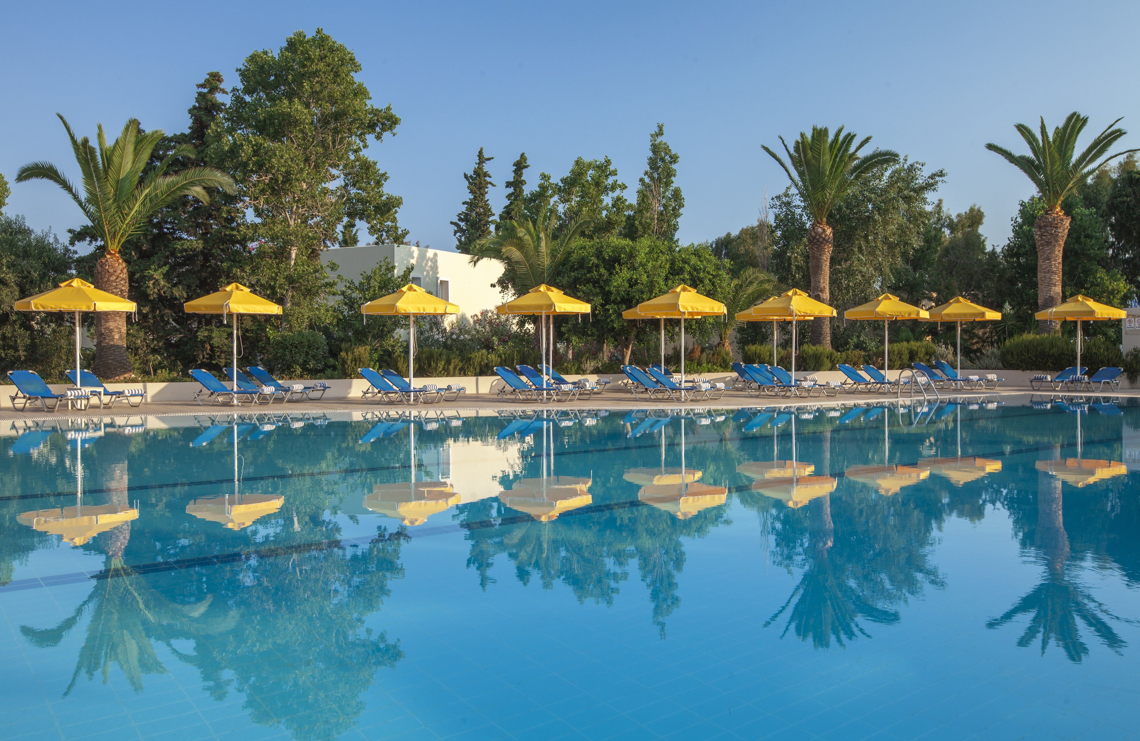 Un espace aménagé au bord de la piscine, avec des chaises longues bleues et des parasols jaunes, entouré de palmiers et surplombé d’un ciel bleu azur.