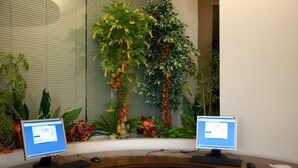 A desk with two monitors, a keyboard, and a mouse. There are two chairs in front of the desk. The desk is surrounded by various plants and a window with blinds. - Rhodos Horizon Blu (Rhodes)