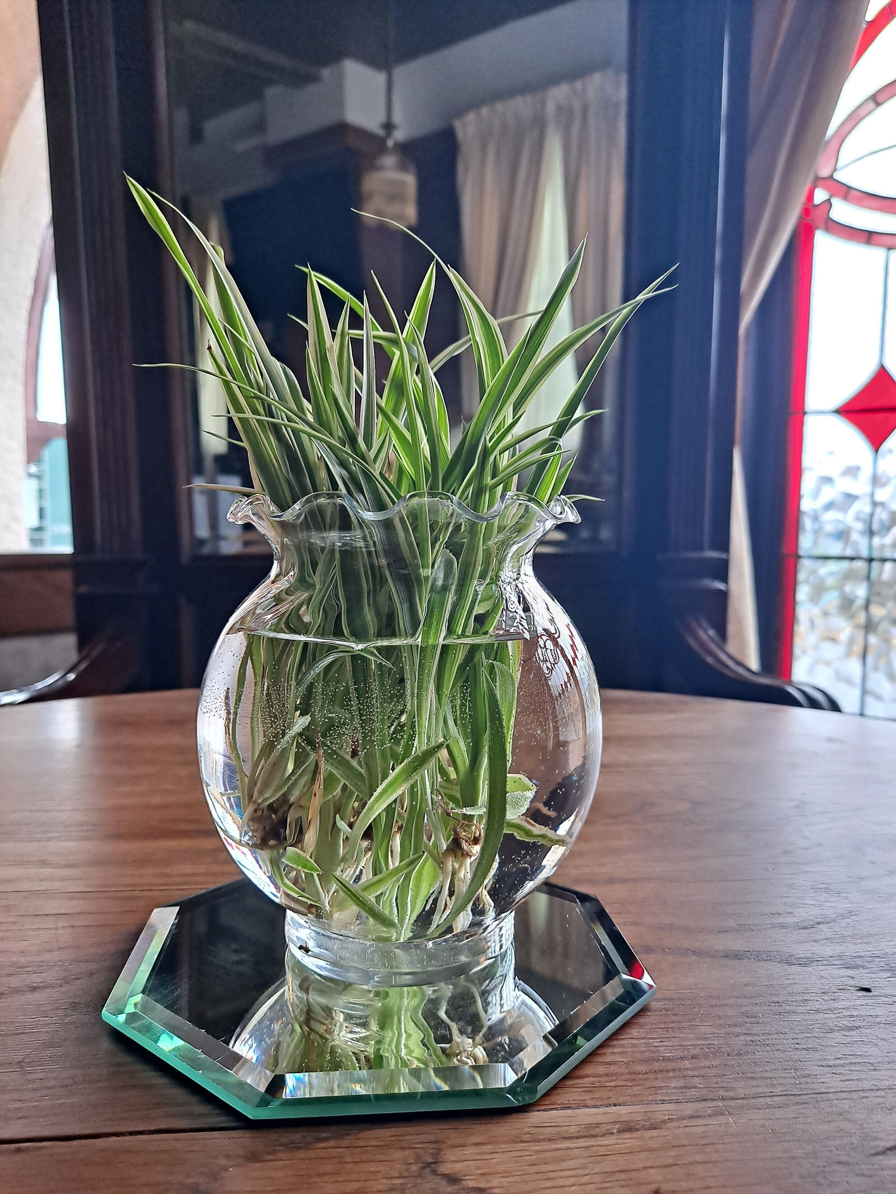 Een transparante glazen vaas met groene planten op een houten tafel.