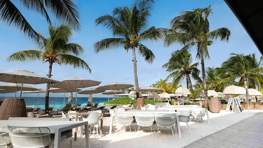 Papagayo Beach Resort