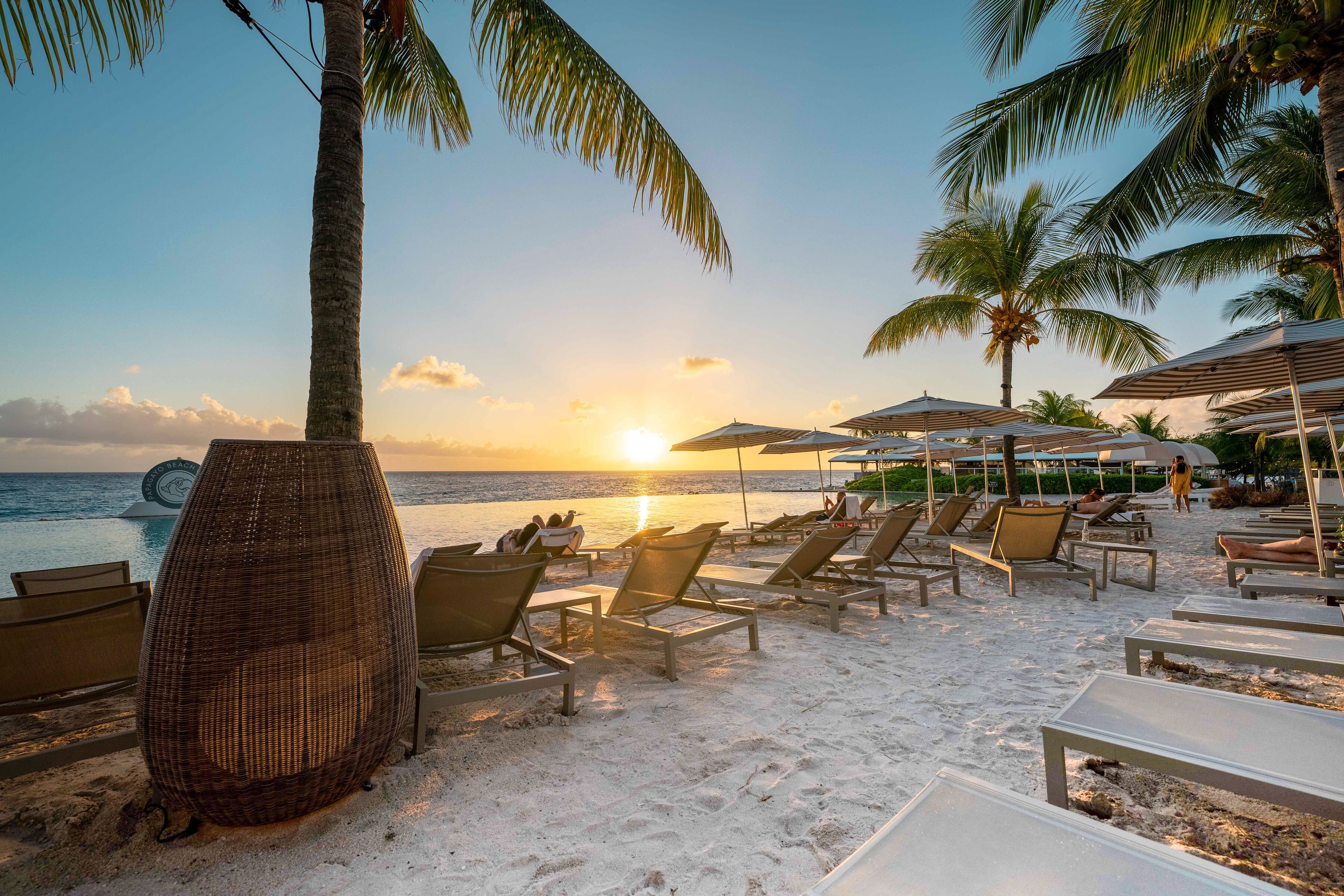 A beach with lounge chairs and umbrellas, palm trees, and a clear view of the ocean at sunset.