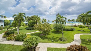 Un resort con un césped cuidado, palmeras y un sendero que conduce a una zona de piscina.