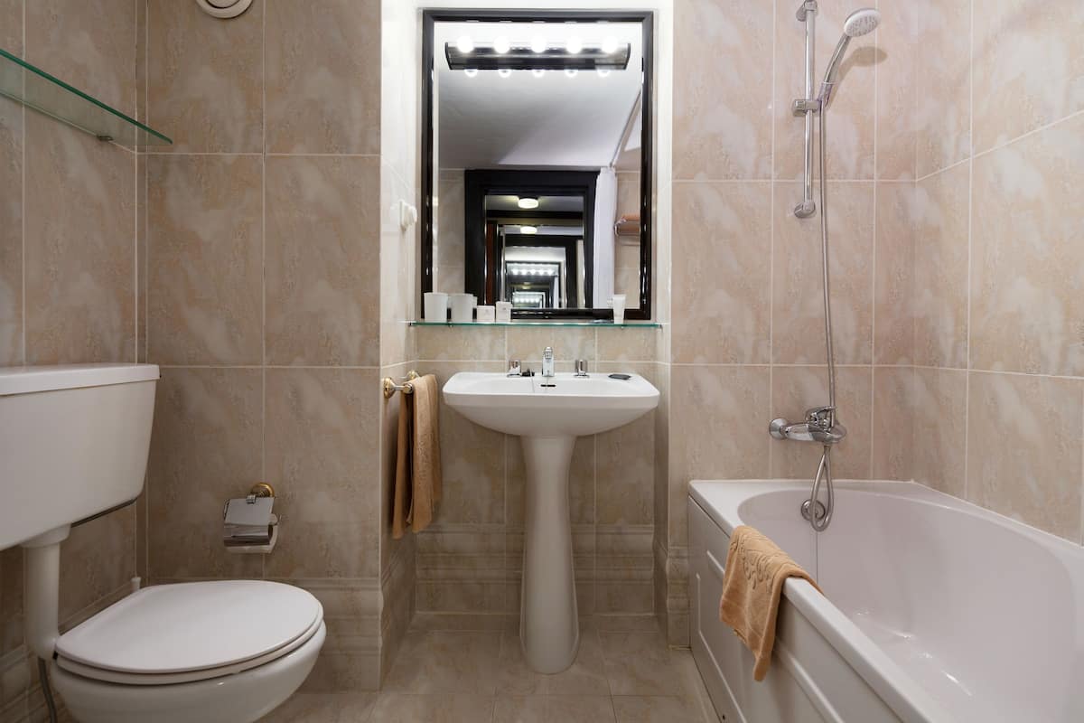 combined shower/bathtub, free toiletries, hair dryer, bidet